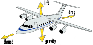 airline-24