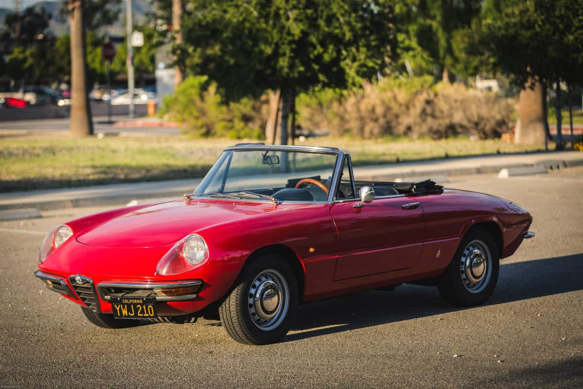 iconic cars of the 60's - 1966 Alfa Romeo Spider