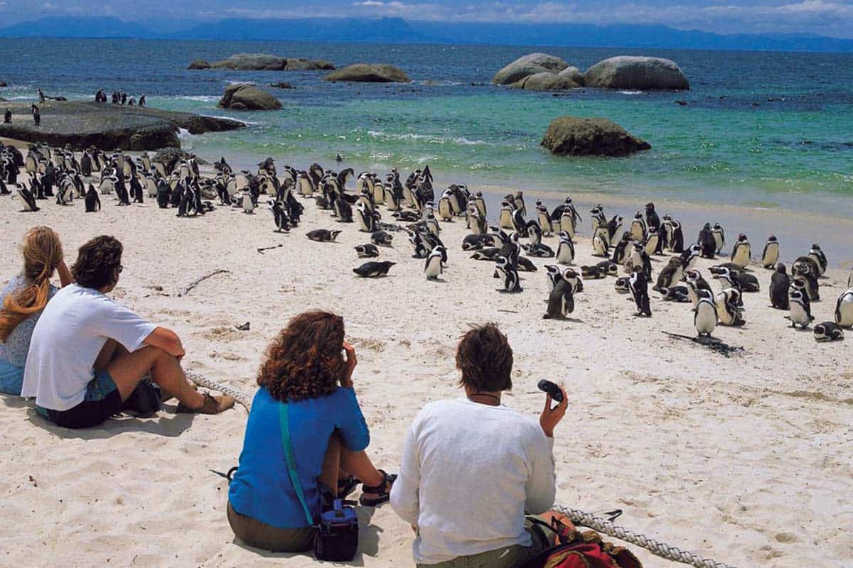 Boulders-Beach-(Outlook Traveller)