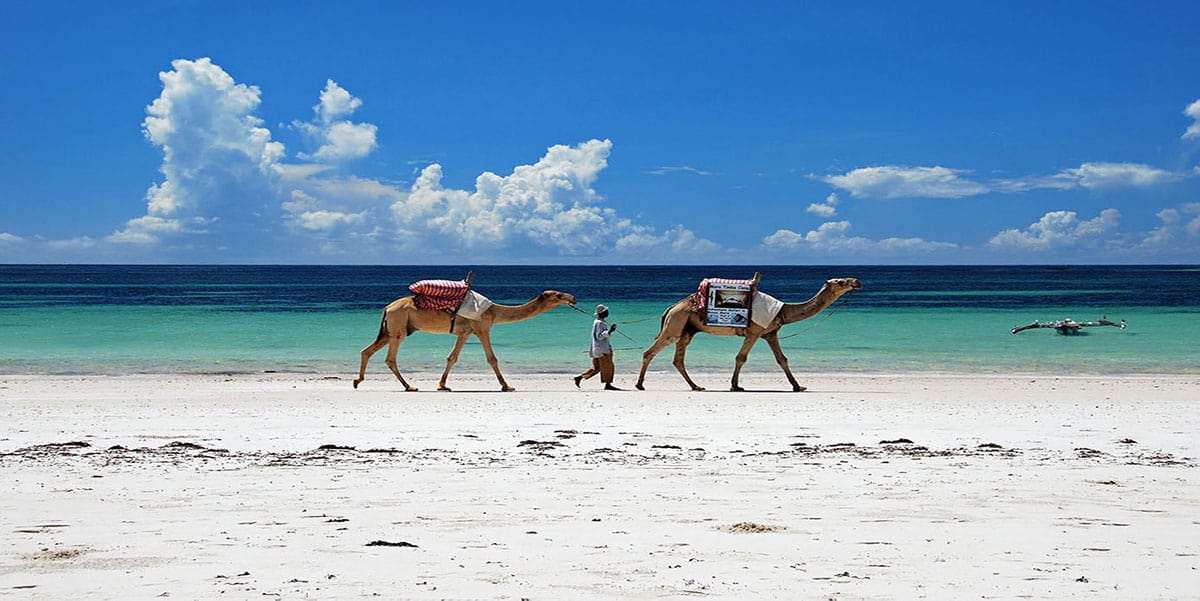 Diani(Flight Network)