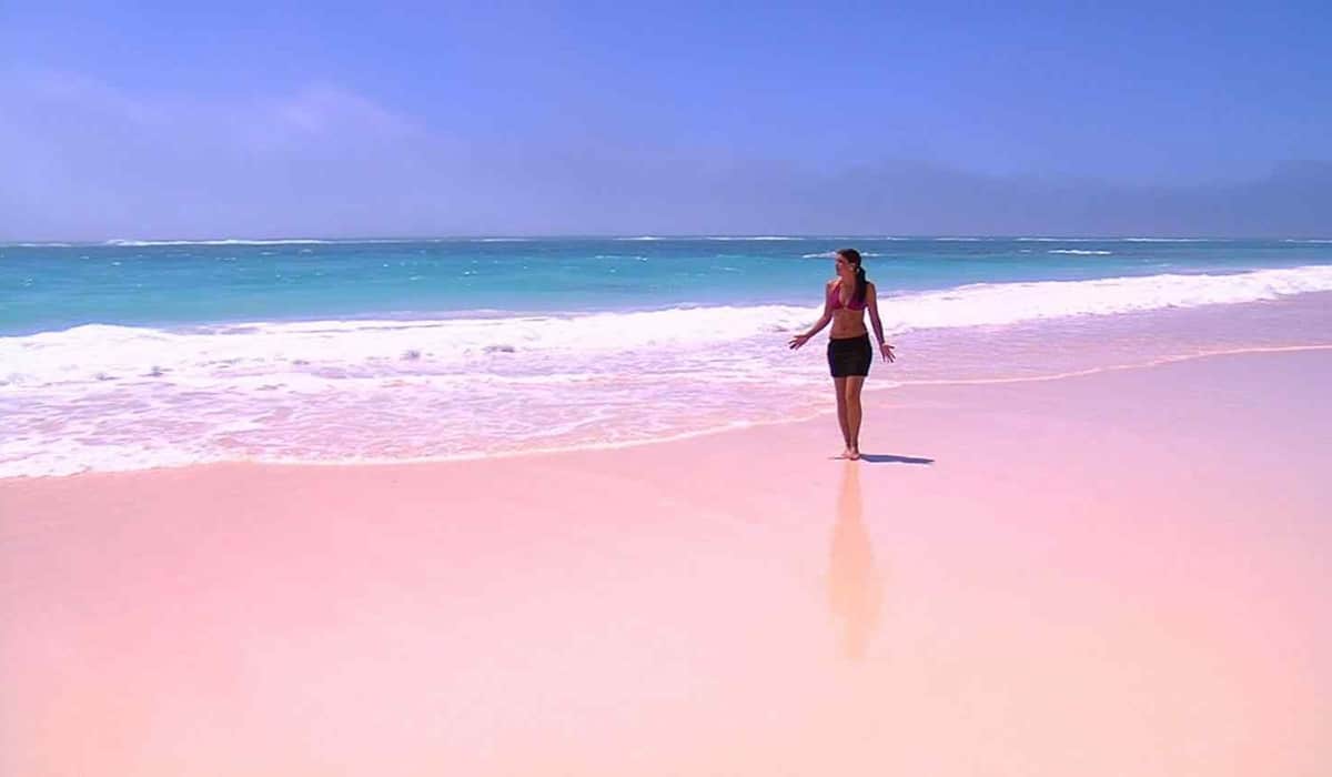 Pink Sands Beach