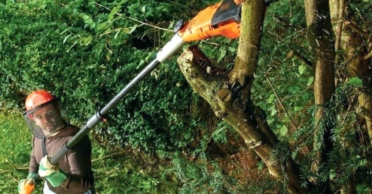 Silky Telescopic Manual Pole Saw