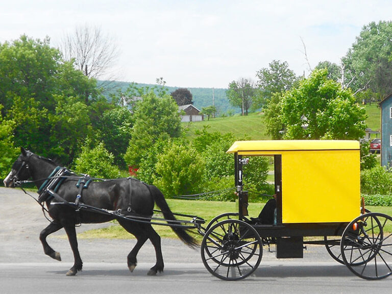 Amish Rules And Customs